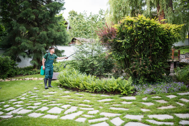 Best Pest Removal Services  in Ridgeland, SC