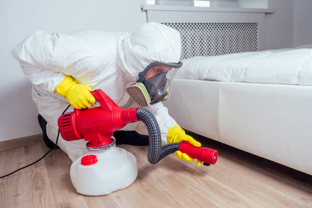 Best Pest Removal Services  in Ridgeland, SC