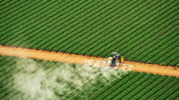 Best Pest Control Cost  in Ridgeland, SC