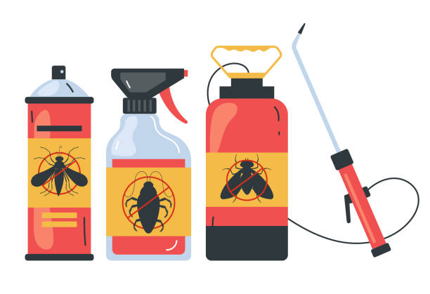 Best Pest Control Near Me in Ridgeland, SC