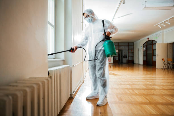 Best Pest Inspection Near Me  in Ridgeland, SC