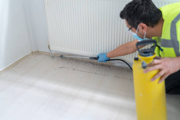 Best Affordable Pest Control Services  in Ridgeland, SC