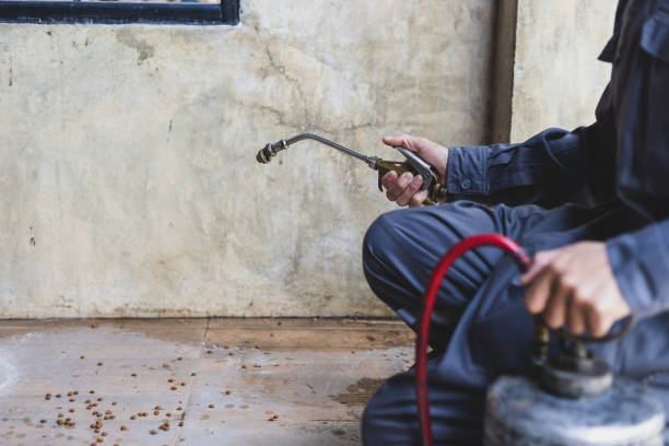 Best Affordable Pest Control Services  in Ridgeland, SC