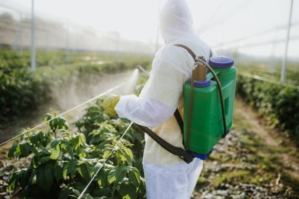 Best Mosquito Control Services  in Ridgeland, SC